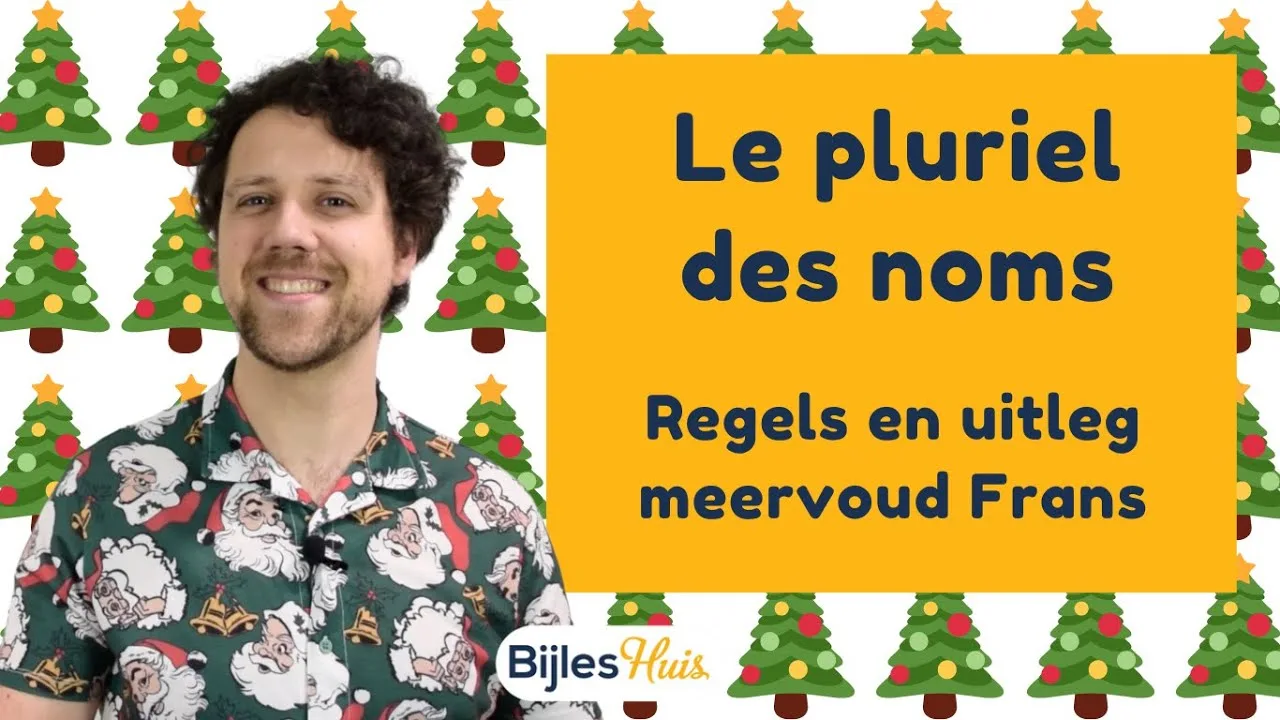 Frans meervoud: le pluriel des noms
