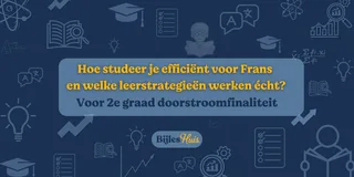 Beter Frans studeren voor 2e graad doorstroomfinaliteit
