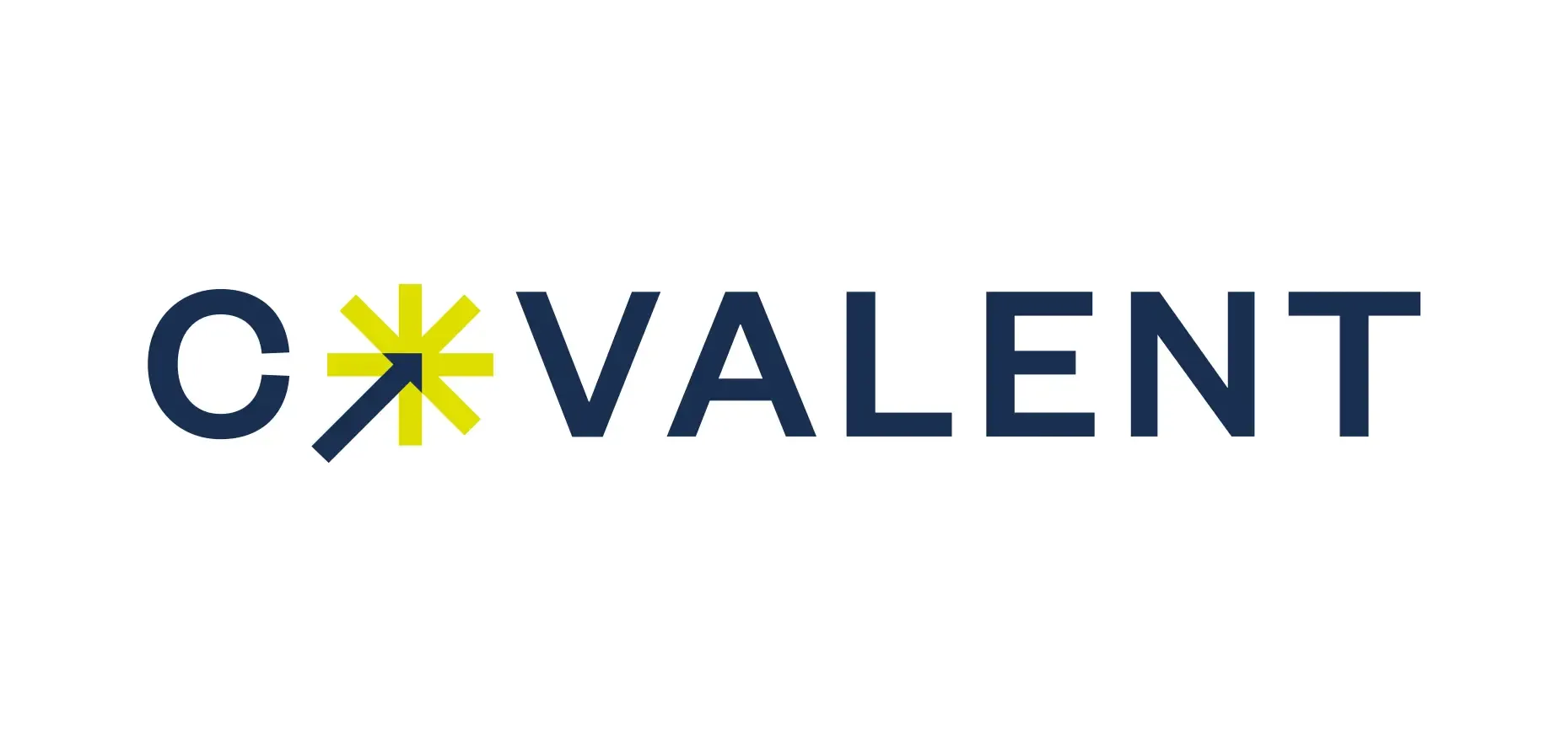 Co_valent_Logo_WEB.webp2025091138_1757590778B