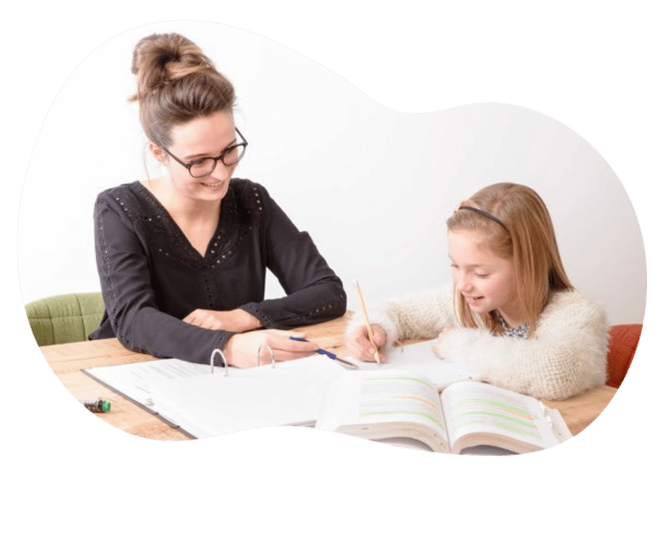 bijles begrijpend lezen