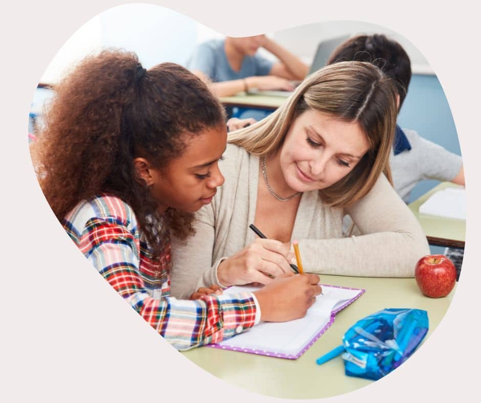 onderwijs partner