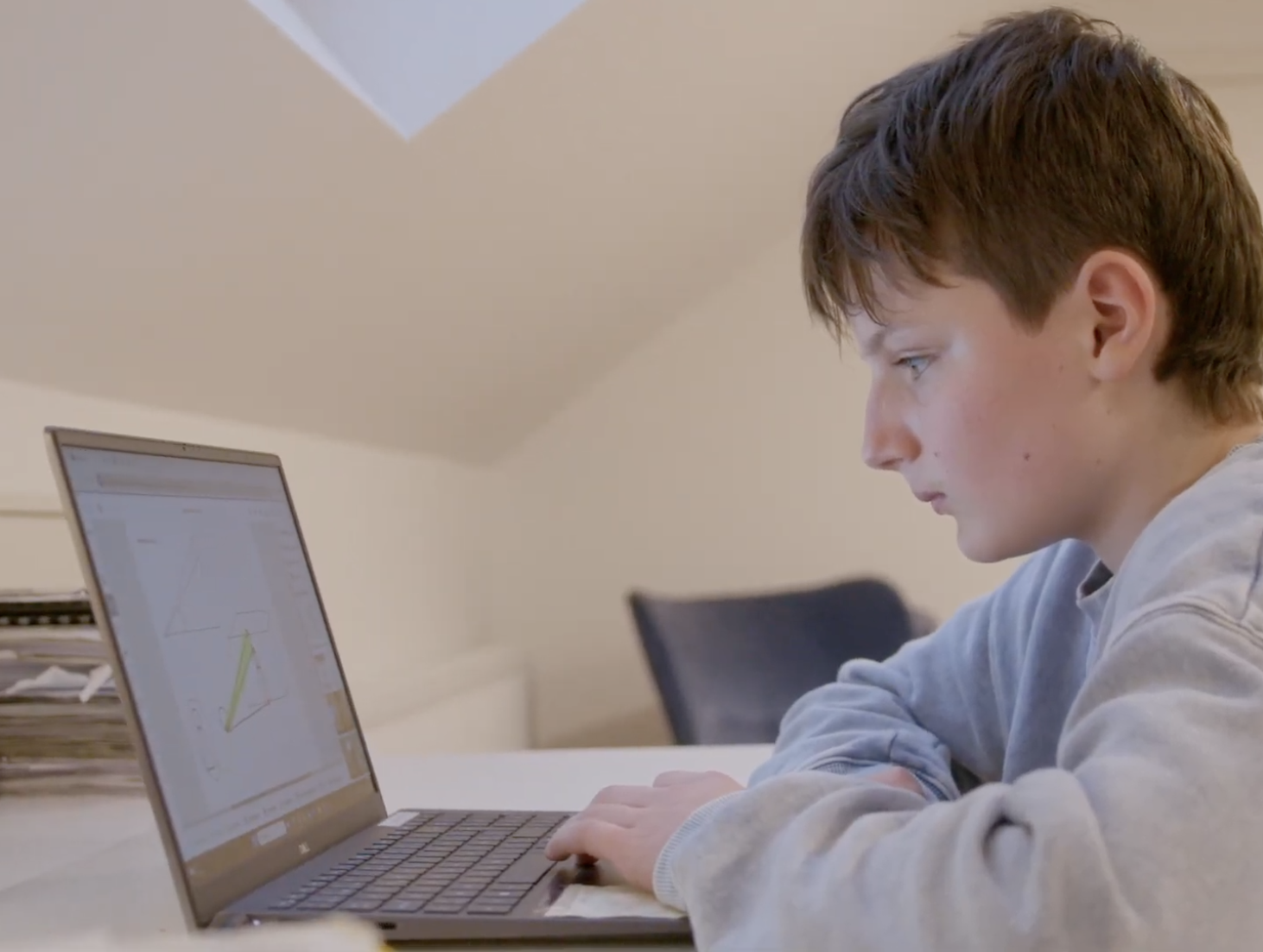 online bijles